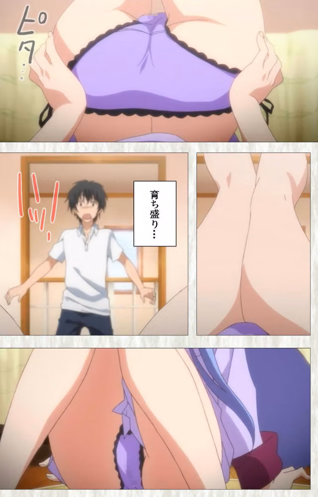 【フルカラー成人版】妹ぱらだいす！ Complete版 hitomiエロ漫画raw サンプル画像005