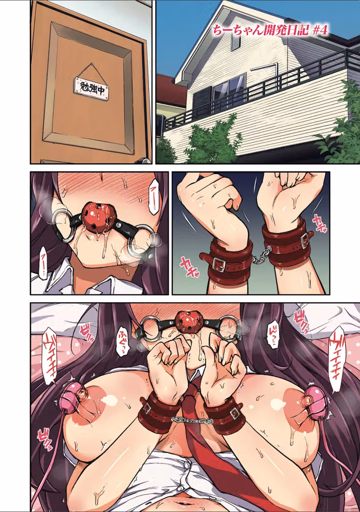 ちーちゃん開発日記【デジタル特装版】 hitomiエロ漫画raw サンプル画像036