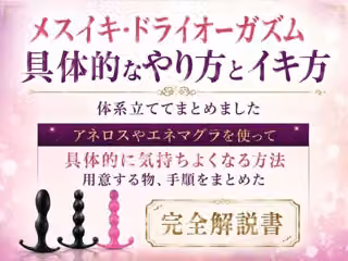 メスイキ・ドライオーガズム 具体的なやり方とイキ方 体系立ててまとめました