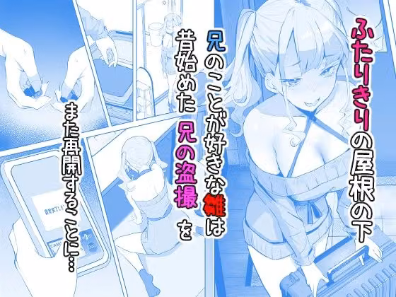 見守りカメラでお兄を視てたらあたしも視られてた話 hitomiエロ漫画raw サンプル画像002
