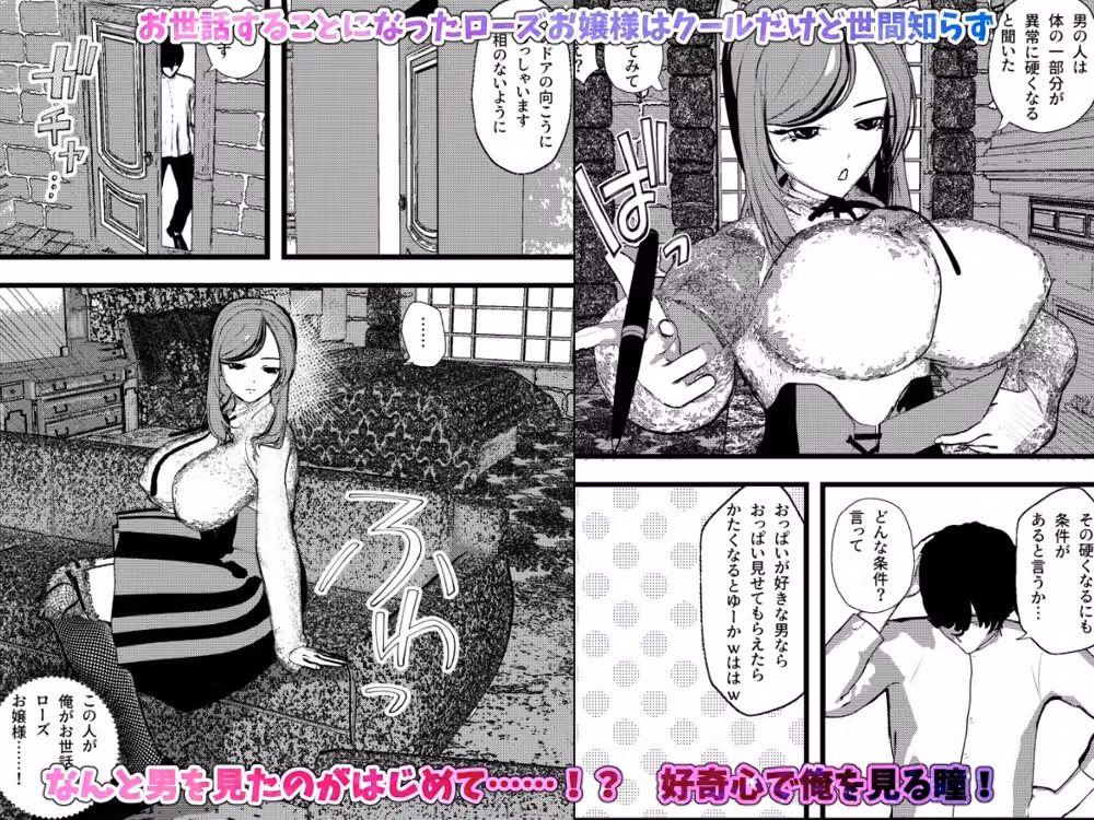 無表情クールなお嬢様は俺の事が大好きで献身的なSEXしてくれちゃうッ！ hitomiエロ漫画raw サンプル画像001