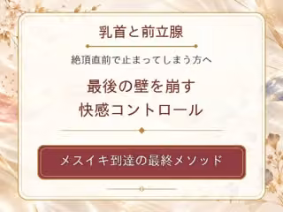 乳首と前立腺 絶頂直前で止まってしまう方へ 最後の壁を崩す快感コントロール メスイキ到達の最終メソッド