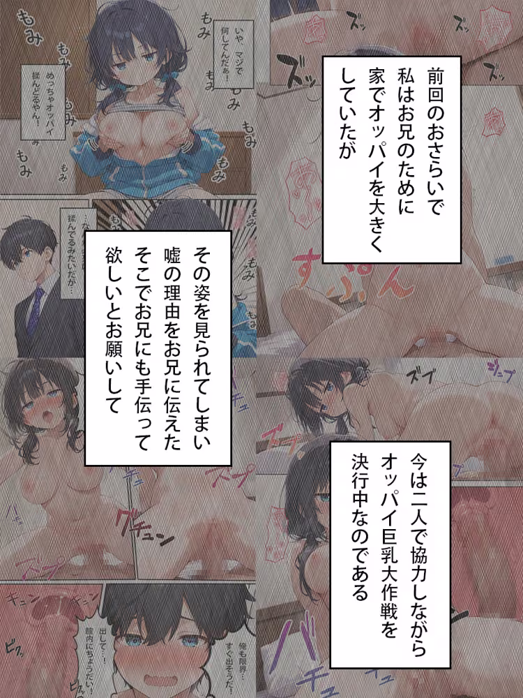 ジト目巨乳妹が俺のせいで引きこもりになったけどなぜかアナルセックスをさせてくれた話 hitomiエロ漫画raw サンプル画像015