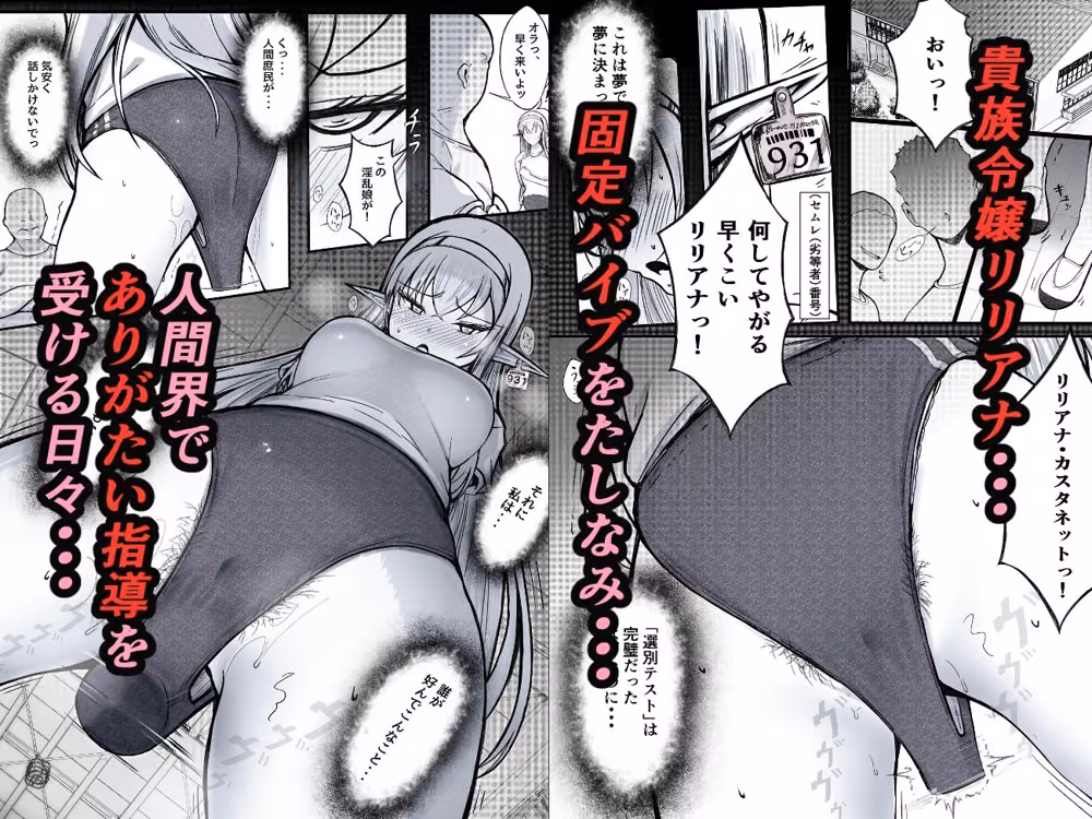 没落貴族エルフ令嬢 ブルマ固定バイブ指導 hitomiエロ漫画raw サンプル画像001