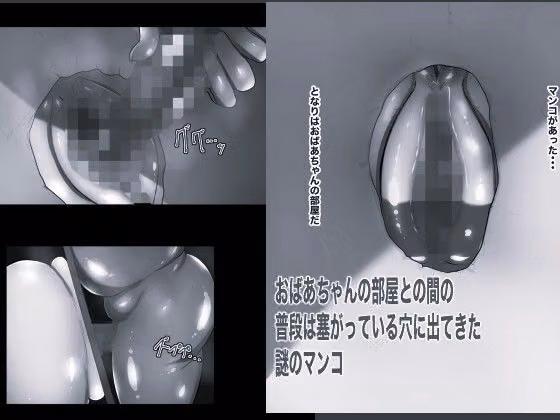 壁マンコ おばあちゃんと孫のガチ小作りセックス5 モノクロ版 hitomiエロ漫画raw サンプル画像001