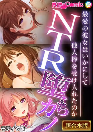 超合本シリーズ モザイク版